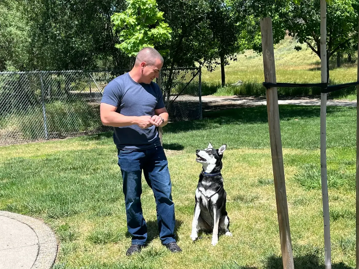 Trainer standing beside a black and white dog that sits and looks up at him during a park training session